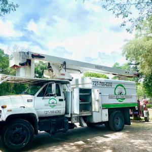 Adam B's Tree Service