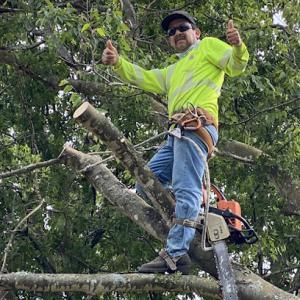 Arias Brothers Tree Service