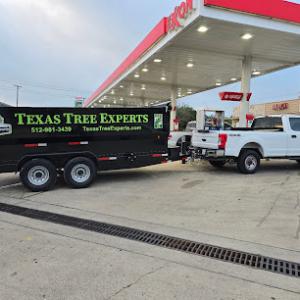 Texas Tree Experts