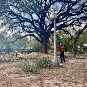 Armadillos Tree Services