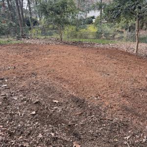 Herrington Stump Grinding | Tree Stump Removal Service