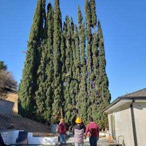 Granada Tree Service