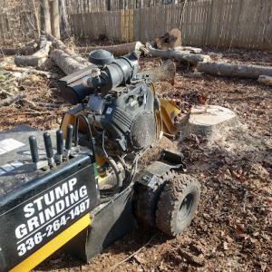 Shannon's stump grinding