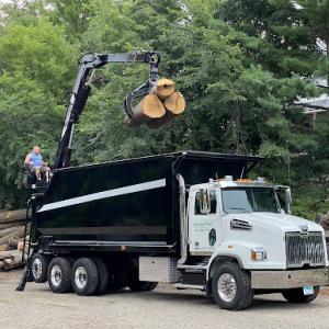 Collins Tree Care & Removal