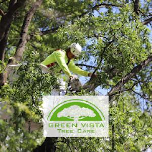 Green Vista Tree Care