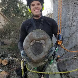 Jacob's Ladder Tree Tech