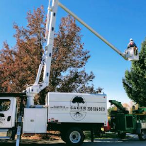 Sager Professional Tree Management