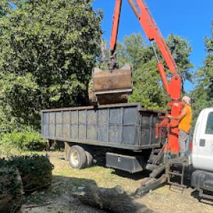 RS Tree & Landscaping Svc