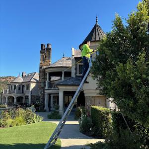 Camarillo Tree Service