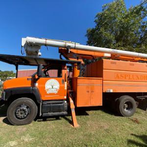 Bartolome's Tree service