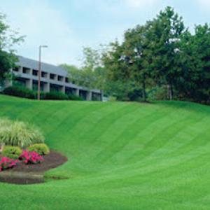 Perennial Contracting