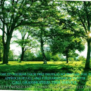 Phil's Grasshoppers Tree Service