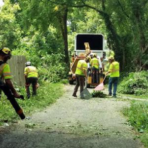 Top Tree Trimming of Sherman Oaks