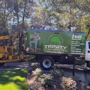 Trinity Tree service