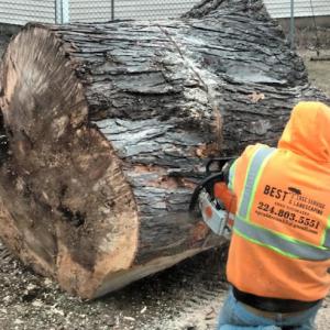 Best Tree Service & Landscaping