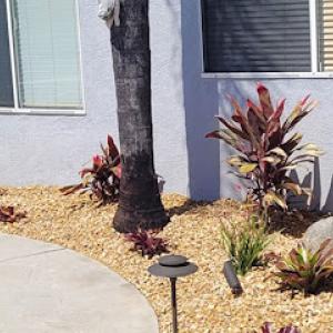 Tommy's Landscaping & Design