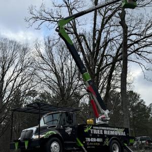 Stingray Clearing & Tree Service