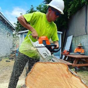 Beach Cities Tree Care