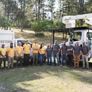 Great Western Tree Care