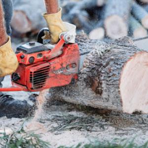 Dublin Tree Services