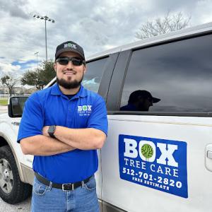 Box Tree Care