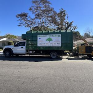 Specialty Tree Care
