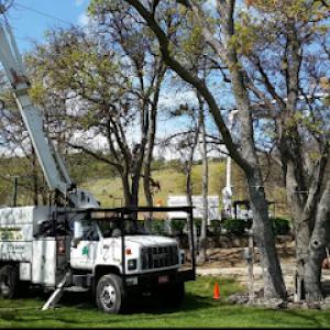 Southern Oregon Tree Care
