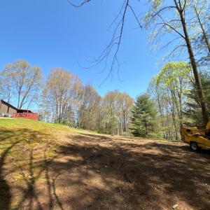 Lundy’s Tree Service