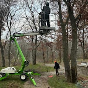 JB Tree Care & Landscaping