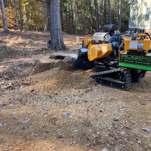 Rogers Stump Grinding