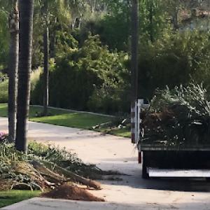 Iggy's Lawn Care & Tree Service-Unlicensed Contractor