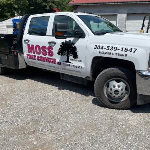Moss Tree Service