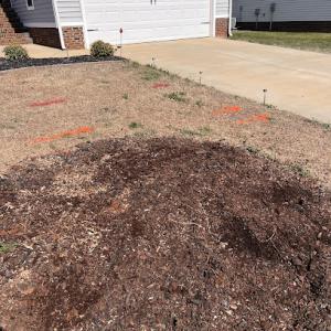 Root Raider Stump Grinding