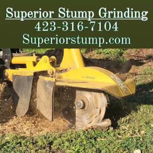 Superior Stump Grinding & Services