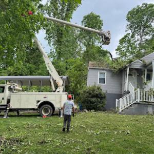On Call Tree Service