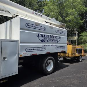 Crape Myrtle Tree Services