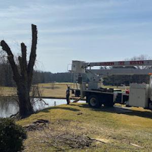 Harkness Tree Services
