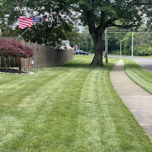Green Lawn Fertilizing
