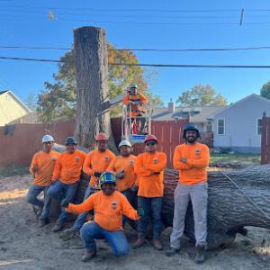 JR Tree Service