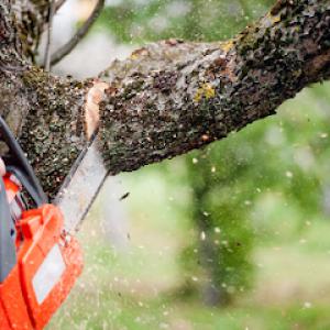 Jon's Tree Service