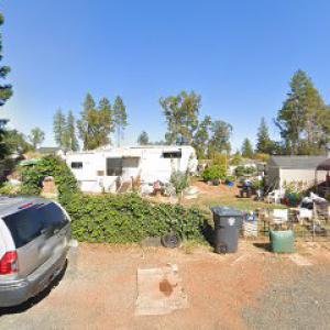 Whackyweedwhackers of paradise