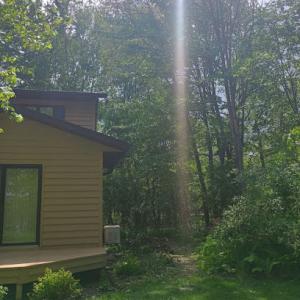 Grizzly Tree Service