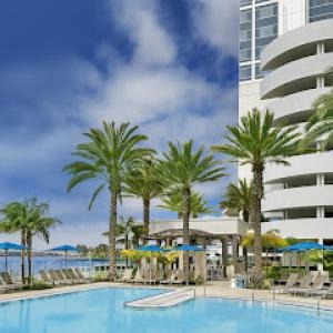 CM Precision Tree & Landscape Maintenance