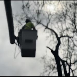 PMB Tree Care