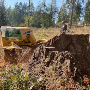 Very Good Stump Grinding