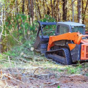 Claypool Tree Service