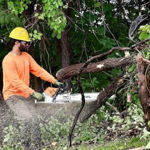 Turman's Tree & Landscape