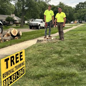 LaFountain Tree Specialists