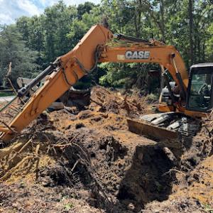 All Dirty Deeds Done Dirt Cheap