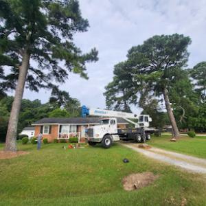 BBB Tree Services